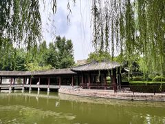 -团结湖公园