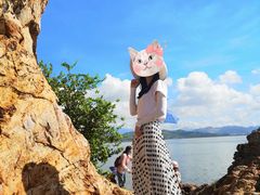 -盐洲岛