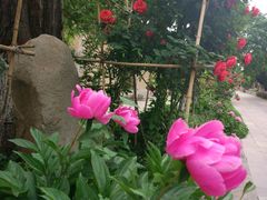 -西安关中民俗艺术博物院