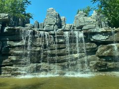 -北京野生动物园