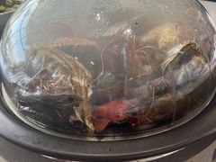 -大锅强·蒸海鲜青岛菜(吾悦广场店)