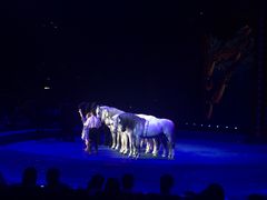 -珠海横琴长隆《卡卡虎奇遇记》