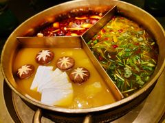 任性锅-黄金奔驰锅-湊湊火锅·茶憩(打浦桥日月光店)