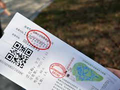 -盐城丹顶鹤湿地生态旅游区