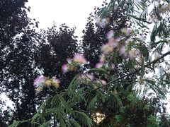 -东湖食堂·湖景餐厅•会议