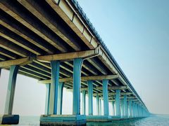 -宝安西湾红树林湿地公园