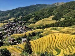 -西北湖绿化广场