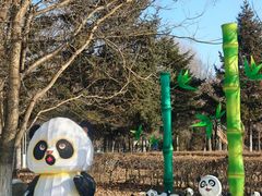 -沈阳奥体冰雪嘉年华