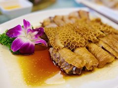 -佛山顺德香云纱园林酒店(清晖园店)