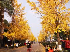 -四川大学(望江校区)