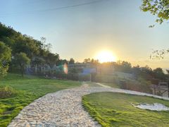 -泉州海丝野生动物世界