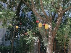 -中和·国风茶馆(愚园路店)