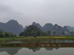 -会仙湿地