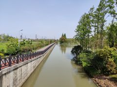 -上海长兴岛郊野公园