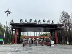 -黄海国家森林公园