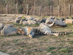 -西安秦岭野生动物园