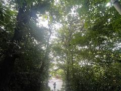 -上海佘山国家森林公园天马山园