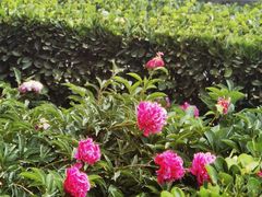 -东华门大街小区