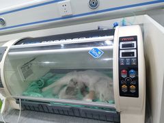 -萌兽医馆·绝育·24小时内科·宠物医院(德胜店)