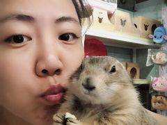 -钓仓鼠(洋桥北里小区店)