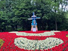 -上海共青森林公园