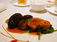 -新同乐鱼翅酒家(美丽华店)