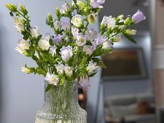 -循礼门鲜花花市(武汉循礼门店)