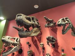 -Behring World of Animals(上海自然博物馆店)