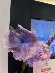 -春田皮肤管理中心品牌旗舰店