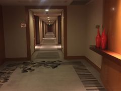 -上海浦东康桥绿地假日酒店