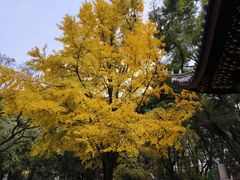 -汇龙潭