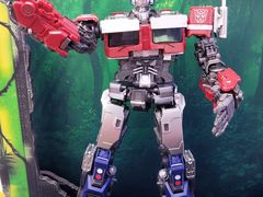 -TOYSRUS玩具反斗城(厦门新生活广场店)