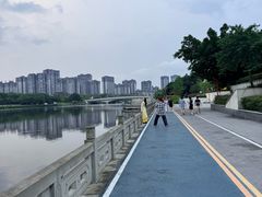 -眉山湿地公园(东坡区)