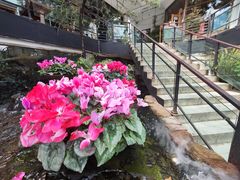 -乡村小榭饭店