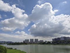 -立新湖公园