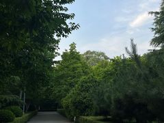 -千佛山风景名胜区