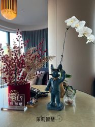 -茉莉智慧母婴护理中心(瑰丽店)