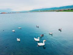 -青海湖国家重点风景名胜区