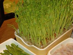 -海底捞火锅(万象城店)