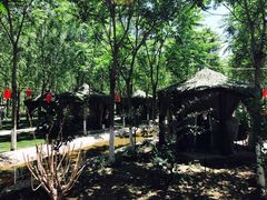 -草根堂农场