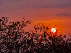 -露天矿生态公园