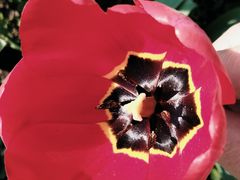 -长春公园(普阳街道)