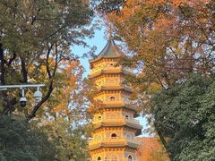 -灵谷景区