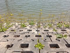 -南宁花花大世界景区