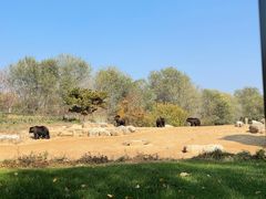 -北京野生动物园