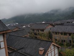 -武陵山森林公园