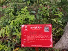 -广西壮族自治区药用植物园