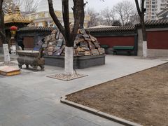 -护国法轮寺
