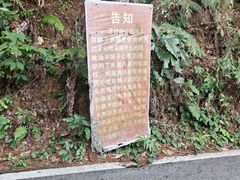 -三门江国家森林公园