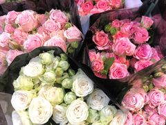 -循礼门鲜花花市(武汉循礼门店)